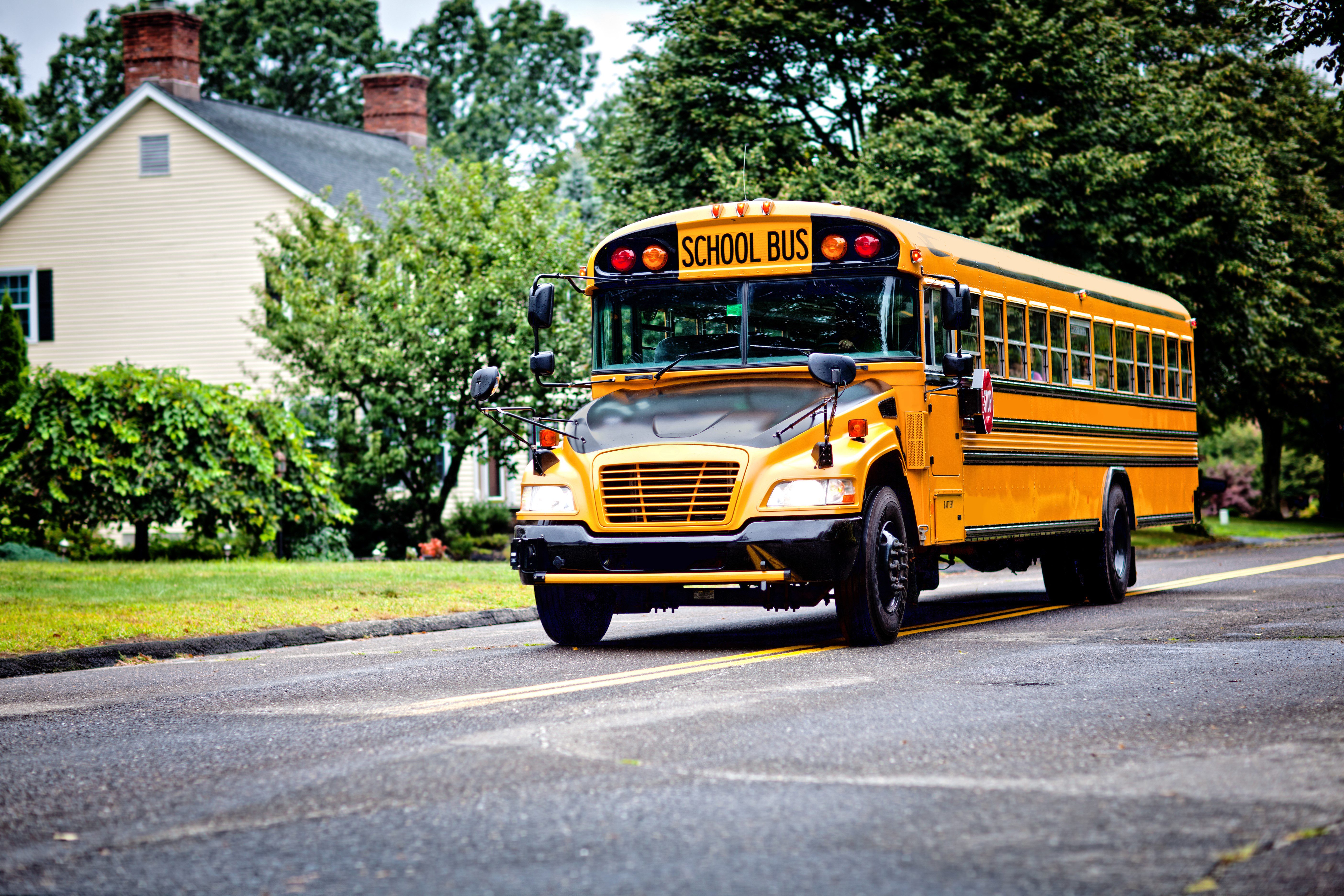 how-much-do-school-bus-drivers-make-in-alabama-school-walls